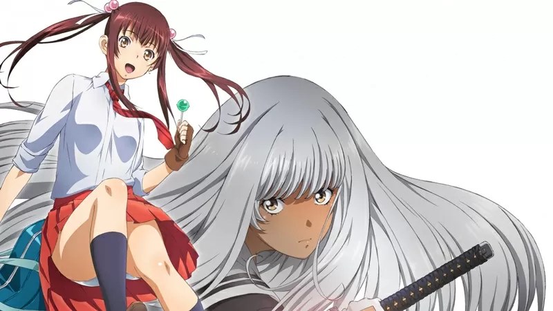 Shin Ikkitousen